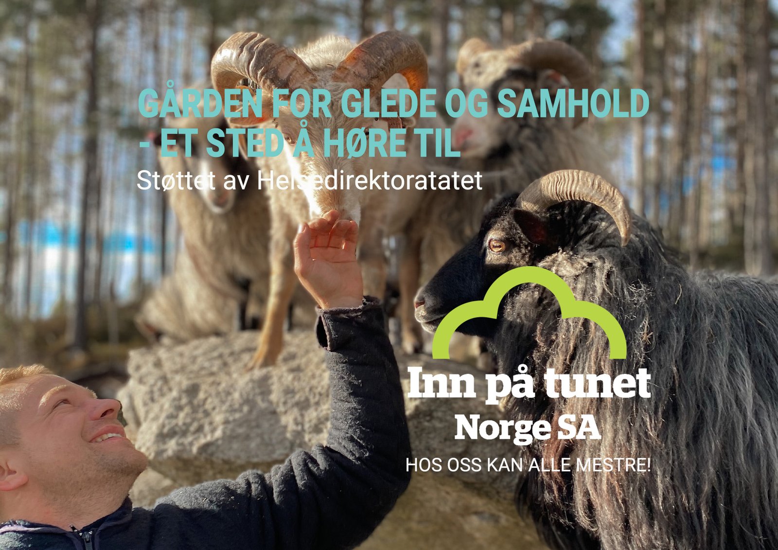 Glede-og-samhold-img