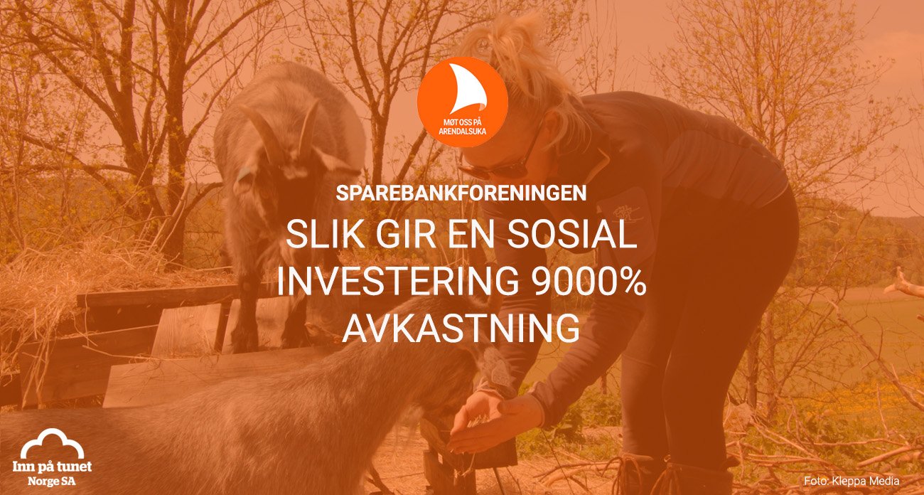 blog-IPTN_sparebank